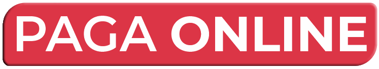 Logo PAGA ONLINE